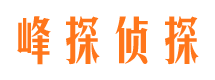 广宁市婚外情调查